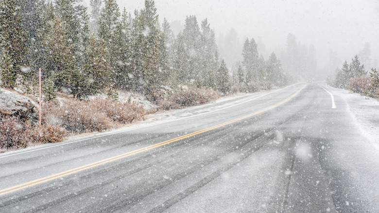 Snowstorm beginning in Yosemite National Park, Tioga Pass