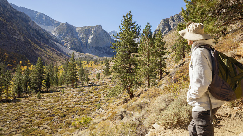 Senior man wearing a brimmed hat and long-sleeve shirt on the Big Pine Creek trail near Bishop, California