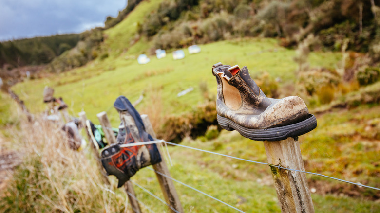 Tramping boots are laid out on a fence along Te Anga Rd near Waitomo in New Zealand