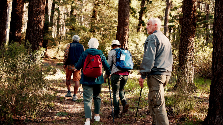Group of elderly people hiking through the forest