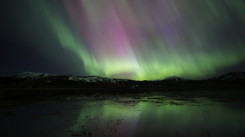 An aurora over Yellowstone at night