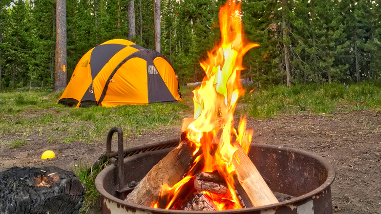 A campsite inside Yellowstone