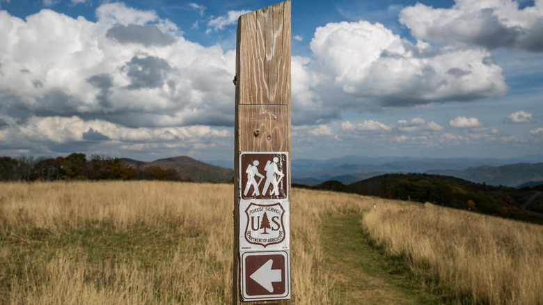 The sky and fall tree colors on Max Patch, a bald mountain located along the Appalachian Trail