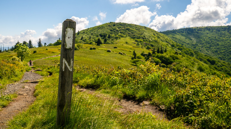 A northbound blaze of the Appalachian Trail