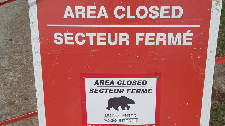 Area closed, do not enter sign due to bear activity in Banff National Park