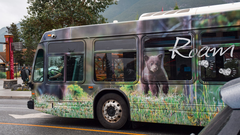 A Roam bus in Banff, Canada