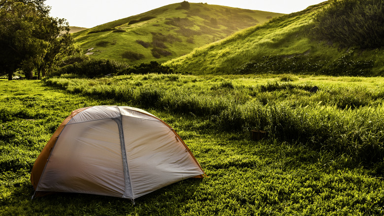 A small tent set up in a meadow with hills in the background in Channel Islands National Park