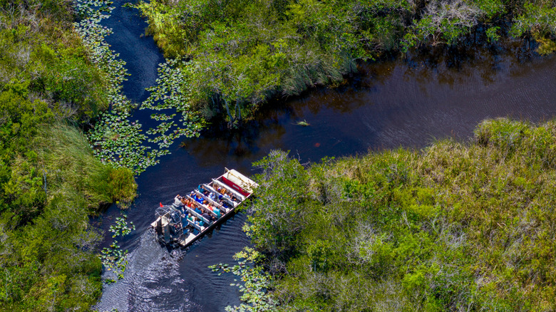 Airboat tour in Everglades from above