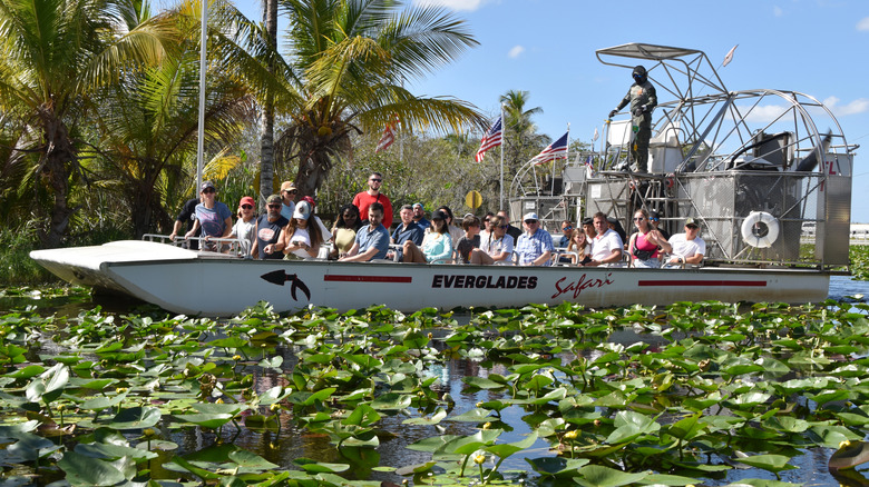 People riding on an airboat in the Everglades, Florida