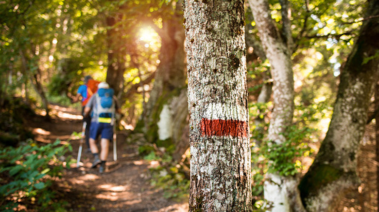 People on marked hiking trail