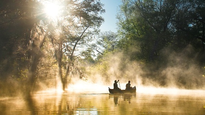 Two people on a canoe in the Everglades, Florida