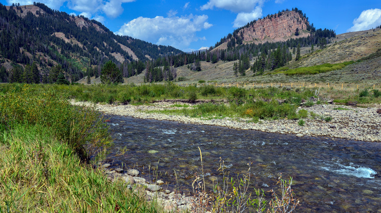 The Hoback River flows through the Kozy Campground in the Bridger-Teton National Forest in Wyoming