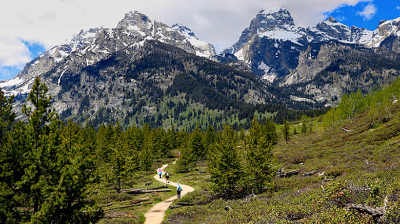 Hikers on a trail in Grand Teton National Park, Wyoming