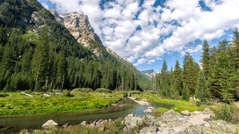 Cascade Canyon is a popular hiking trail in the Grand Teton National Park, Wyoming