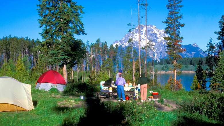 Campsite at Signal Mountain Campground in Grand Teton National Park, Wyoming