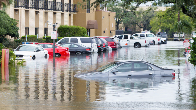 Flooded cars after Hurricane Harvey hot Houston in 2017