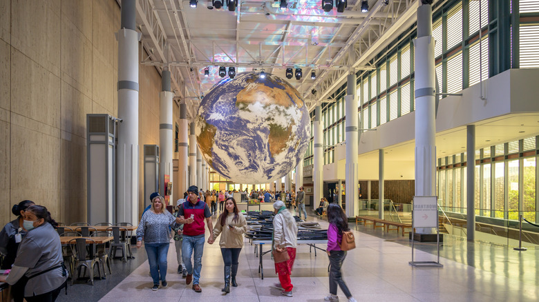The main atrium in the Houston Museum of Natural Science