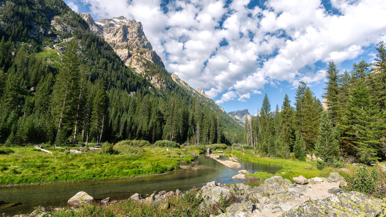 Cascade Canyon is reachable via a hiking trail past Inspiration Point in Grand Teton National Park