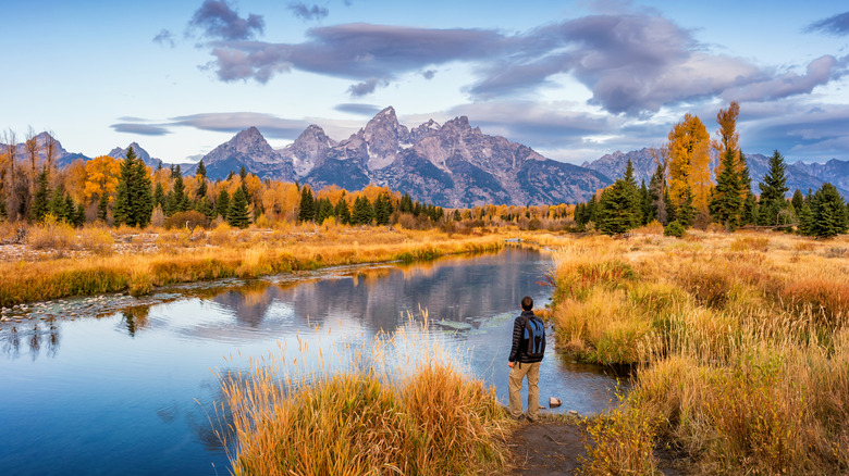 A hiker looking at view at Schwabacher Landing in Grand Teton National Park, Wyoming