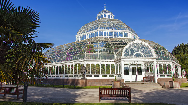 The palm house in Sefton Park, Liverpool