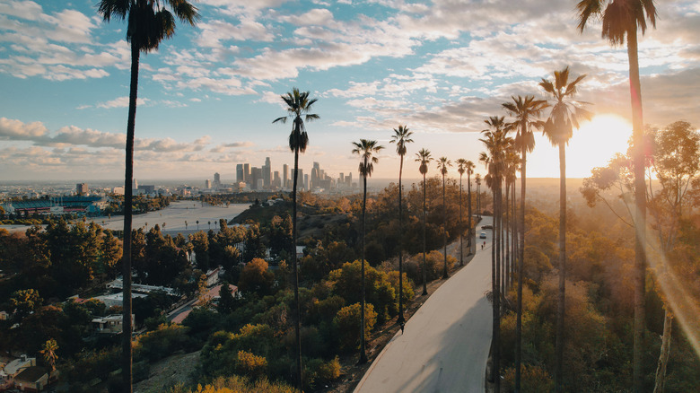 Aerial view of palm trees, water, and LA skyline at sunset