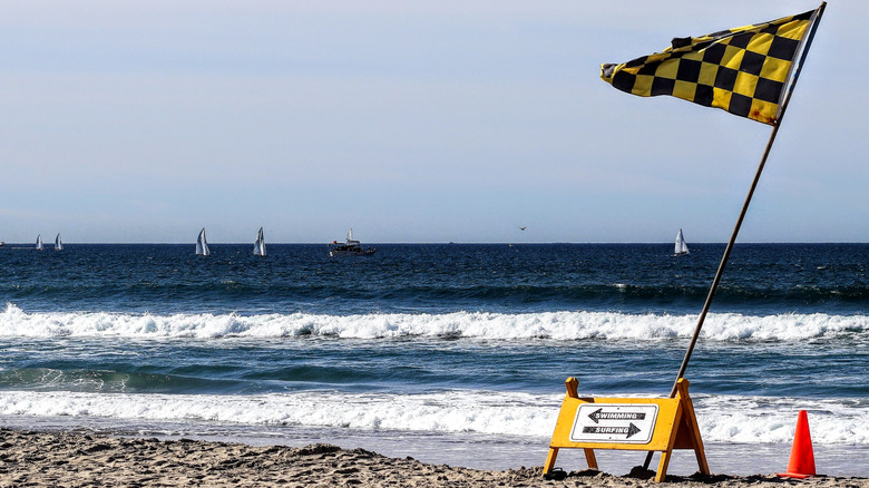 Checkered flag on Mission Beach in San Diego