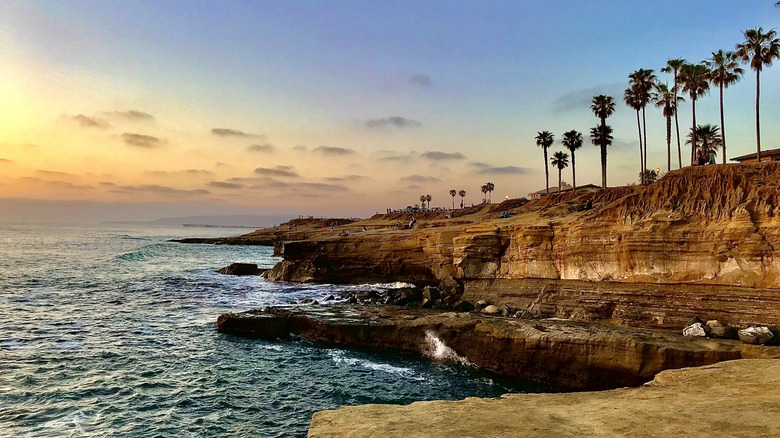 Cliffs and palm trees overlooking San Diego beach at sunset