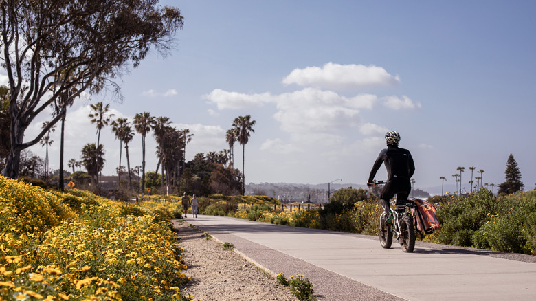 Biker along flower-lined path in San Diego