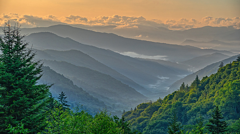 Mountains inside the Great Smoky Mountains National PArk