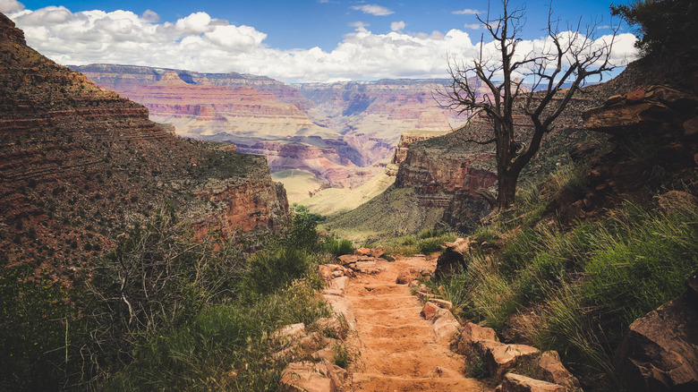 Steps and a view of inner canyon along the Bright Angel Trail in the Grand Canyon