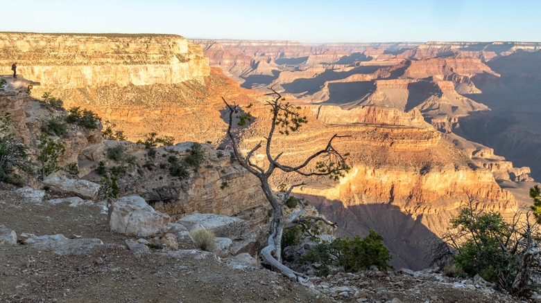 Early morning sun in the Grand Canyon, Arizona