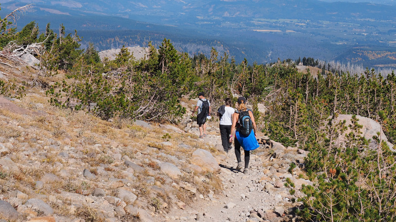 Hikers on the Timberline Trail in Oregon