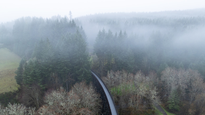 Mist and rain moving west of Portland