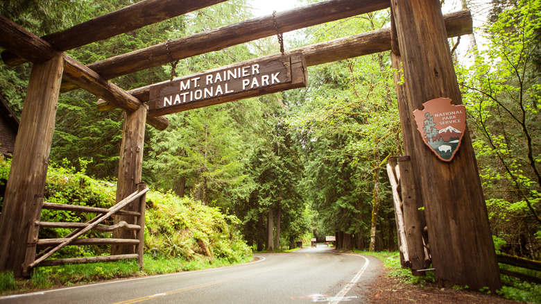 The road approaching Mt. Rainier National Park