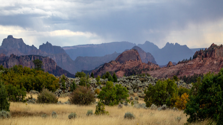Thunderstorms pass over the rugged landscape of Zion National Park, Uta