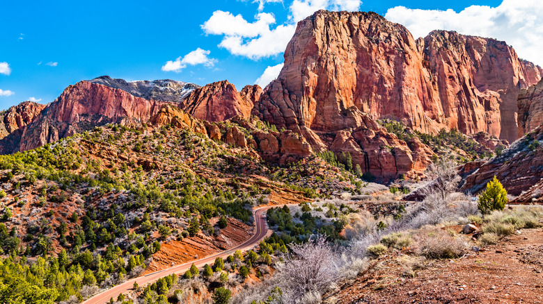 Landscape of Kolob Canyons in Zion National Park