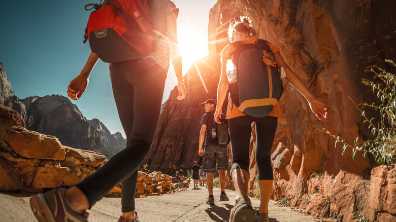 Hikers with backpacks walk on the trail in canyon of Zion National Park