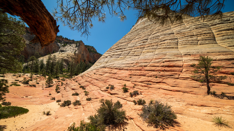 Checkerboard Mesa View Area along the Zion-Mt. Carmel Highway, Zion National Park