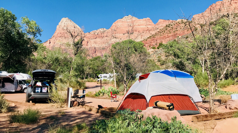Watchman Campground in Zion National Park