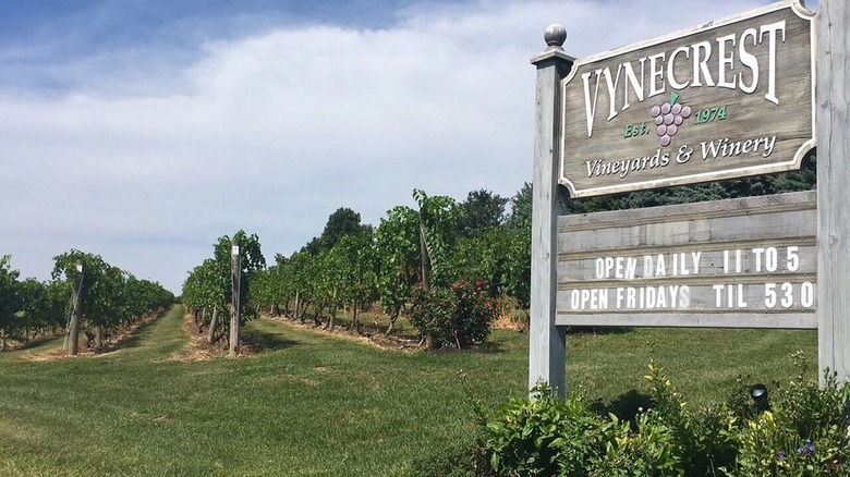 Vynecrest Winery in Breinigsville, Upper Macungie Township.