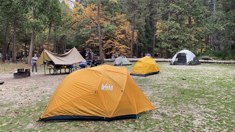 Site 117 at Upper Pines Campground in Yosemite National Park