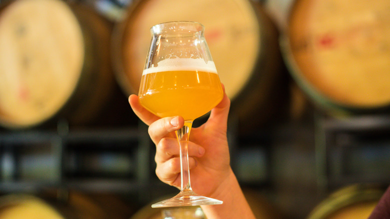 Hand holding a glass of beer in a brewery