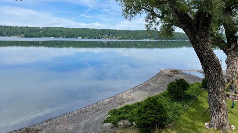 Shores of Owasco Lake