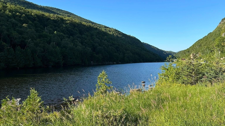 Part of Lake Kushaqua in afternoon