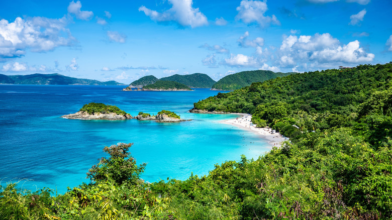 Aerial view of water lapping at sand on Trunk Bay Beach on St. John in U.S. Virgin Islands