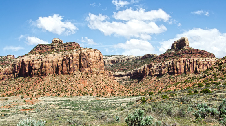 Sandstone buttes towering over a desert prairie in Utah