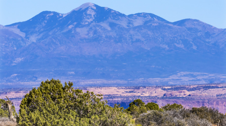 Blue mountains with a desert in the foreground in Utah