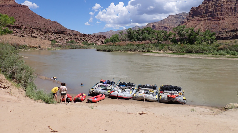 Rafts lined up on a sandbar in Desolation Canyon