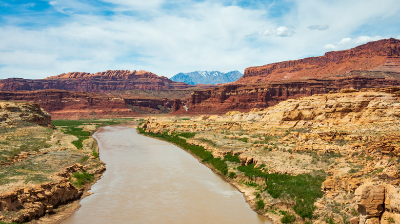 View of lower Cataract Canyon landscape, red canyons lining a river.