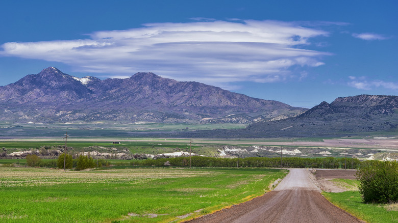 A road in the middle of sprawling farmland with mountains in the background in Tremonton, Utah